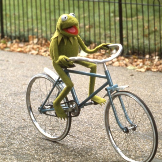 frog on bike