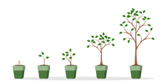 management experience pt 1